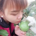 Hồ Hoa Huệ ở Biên Hòa, Đồng Nai - 