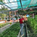 Nguyễn Như Ý - tìm bạn gái đã ly dị chồng