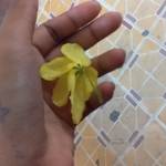  ........ ở Hà Tiên, Hà Nội - 