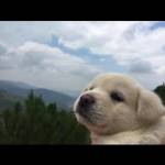 Nguyen Min ở Thủ Dầu Một, Bình Dương - Nam tính hiền nghiêm túc it nó