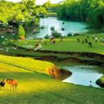 Trần Hồng  ở , Úc Australia - 49 t - hiền