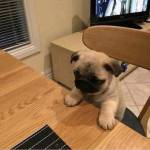  Thcute ở ,  - Hmmm