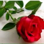 Hoàng Văn  ở ,  - Công nhân viên