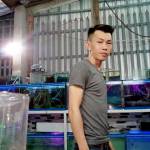  Phong Vin ở Tam Bình, Vĩnh Long - Song pai co muu cau hp, pai co