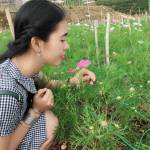 Trần Thị Tuyết Mai - tìm bạn gái đã ly dị chồng