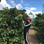  Châu Hân - tìm bạn gái đã ly dị chồng