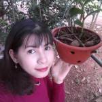  Thảo Nguy ở ,  - 