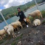 Nhật Thanh tìm bạn đời sau ly hôn