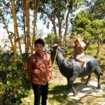  Tỉnh Huy ở ,  - Hiền it nói dễ hòa đồng v