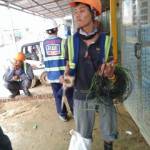  Toàn Chân ở Sông Cầu, Phú Yên - Toàn chân. Ẩn cư  sông cầu. Ph