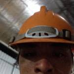  Bjnh ở ,  - song hoa dong vui ve k phan bi