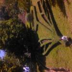 Nguyễn Mi ở ,  - Nam...độc thân vui tính