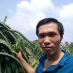 Hồ Hoàng H ở Bến Tre, Bến Tre - Nam Sn 1988, li hôn, hiện tại 