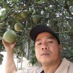  Anh Nam ở ,  - La nguoi binh thuog tim nguoi 