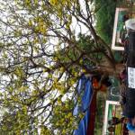 Nguyen Van Tran - tim ban trai da ly hon qua so dien thoai