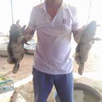  Muhammad  ở ,  - Sống chan hòa, yêu thương, ít 