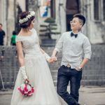  Mèo Béo ở Hải Châu, Đà Nẵng - Hiền lành, chịu khó, chung thu