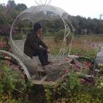 Trần Nguyê ở ,  - Vui vẻ hoà đồng...