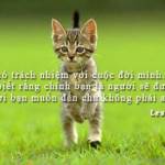  Hoang Nam ở ,  - Muon tim b gái chan thành