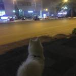 Quang Đông tìm bạn đời sau ly hôn