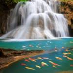  Agsfhshf ở Từ Liêm, Hà Nội - Bình thường, sống giản dị và c