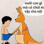 Trà Bảo tìm bạn đời sau ly hôn