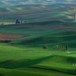 Good Bye Profile Picture