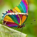 Ttttt Yyyyy - tìm bạn gái đã ly dị chồng