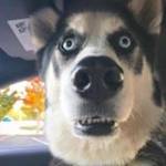 Bình Dương ở ,  - 