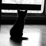 Nam Thang ở Côn Đảo, Bà Rịa - Vũng Tàu - Rất đỗi bình thường ))