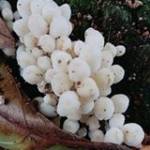 Nguyen Phư ở Ba Đình, Hà Nội - Hiền . Thích được đi chơi