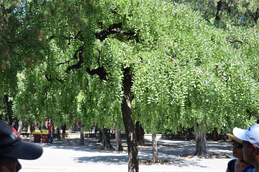 Mr Kim (Les)  - Kết bạn hẹn hò tại Bình Thạnh TP Hồ Chí Minh