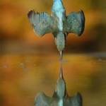 Tran Phu ở Kỳ Anh, Hà Tĩnh - Tính tình ít nói