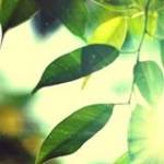 Minh Tiến ở ,  - 