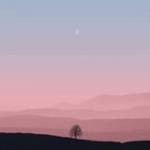 Huỳnh Tú ở Bến Lức, Long An - vui vẻ , nói nhiều , biết chia