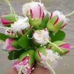 Huỳnh Trân ở ,  - 