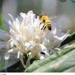 Người Ơi ở Cư Jút, Đắk Nông - Chân thành sbc