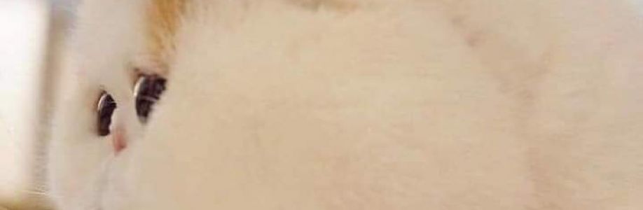 Suri Kinh Cover Image