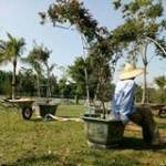 Thanh Xuân tìm nữ FwB trên mạng