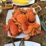 Đồng Tánh ở ,  - 