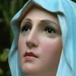 Trần Anh D ở ,  - 