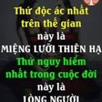 Manh Đoi N ở ,  - 