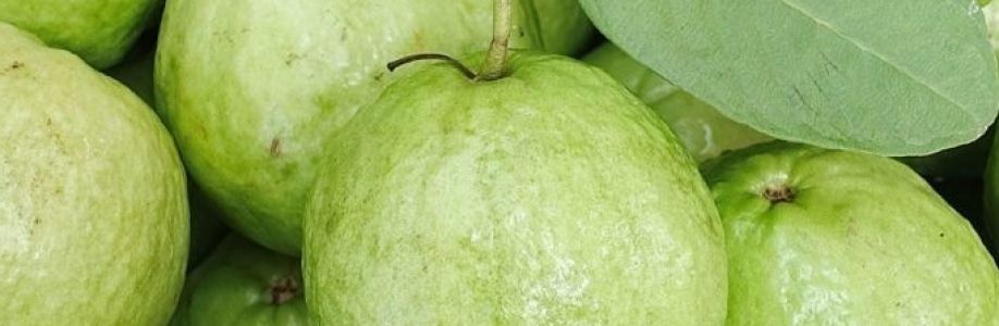 nguyen khanh Cover Image