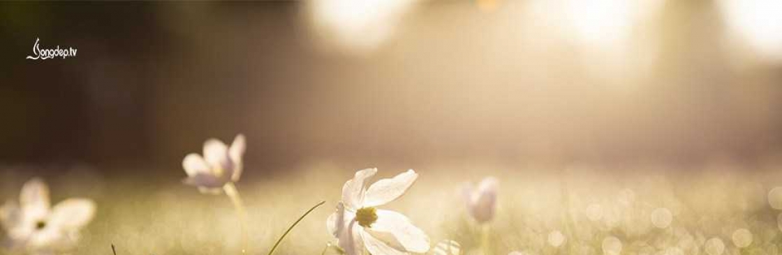  Best Friend Cover Image