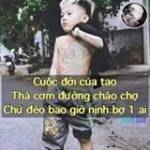 Vũ Dương ở ,  - 