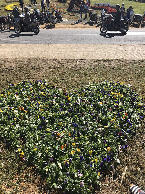 Le Vy (Nữ)  - Tìm bạn đời nghiêm túc tại Thuận An Bình Dương