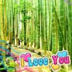 Trương Quy ở ,  - 