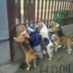 Nguyễn Thị ở ,  - 