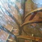 Khanh Uyen ở Buôn Ma Thuột, Đắk Lắk - Vui tinhd