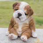   ở Bình Thạnh, TP Hồ Chí Minh - 